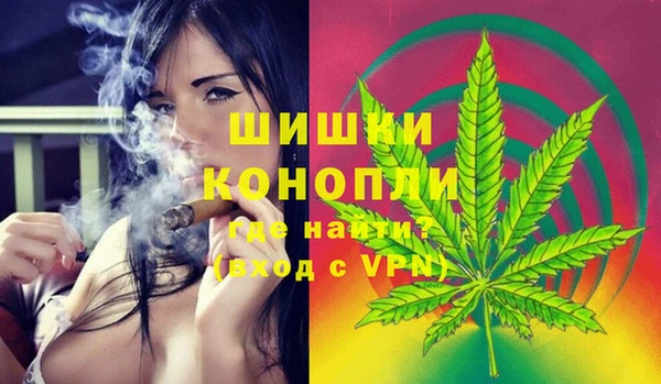 соль ск Алзамай
