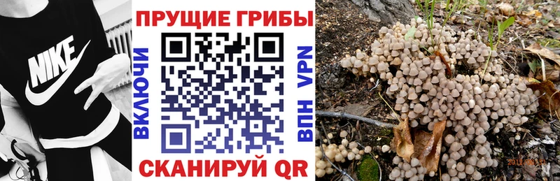 Галлюциногенные грибы ЛСД  Олонец 